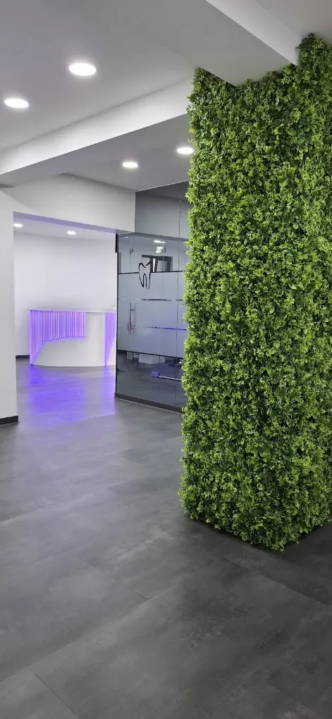 Recepția clinicii și peretele verde de la intrare